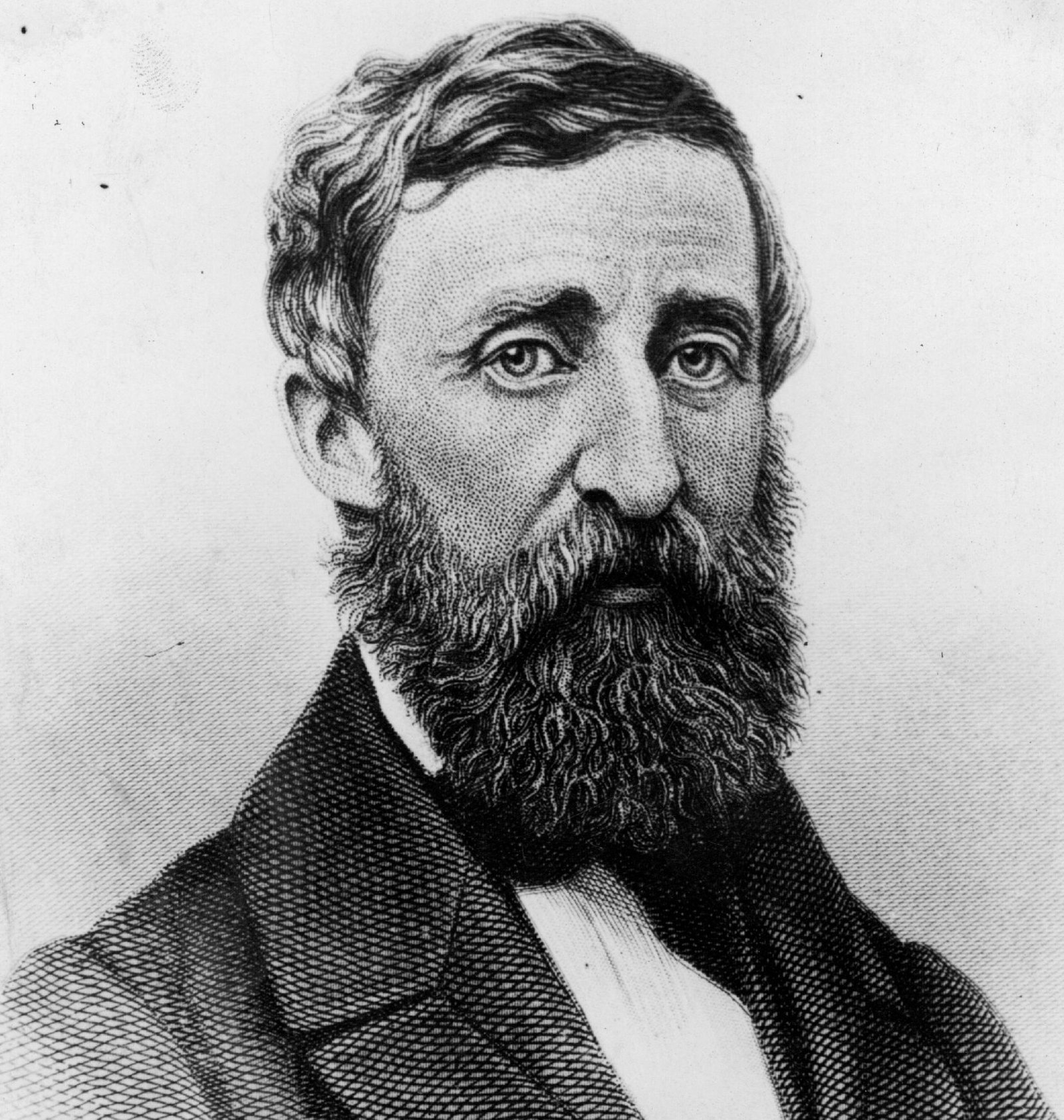 Thoreau's Blueprint for Civil Disobedience (image credits: wikimedia)