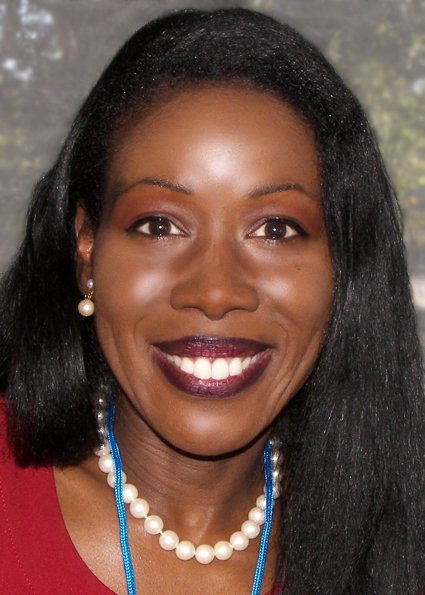 The Warmth of Other Suns by Isabel Wilkerson (image credits: wikimedia)