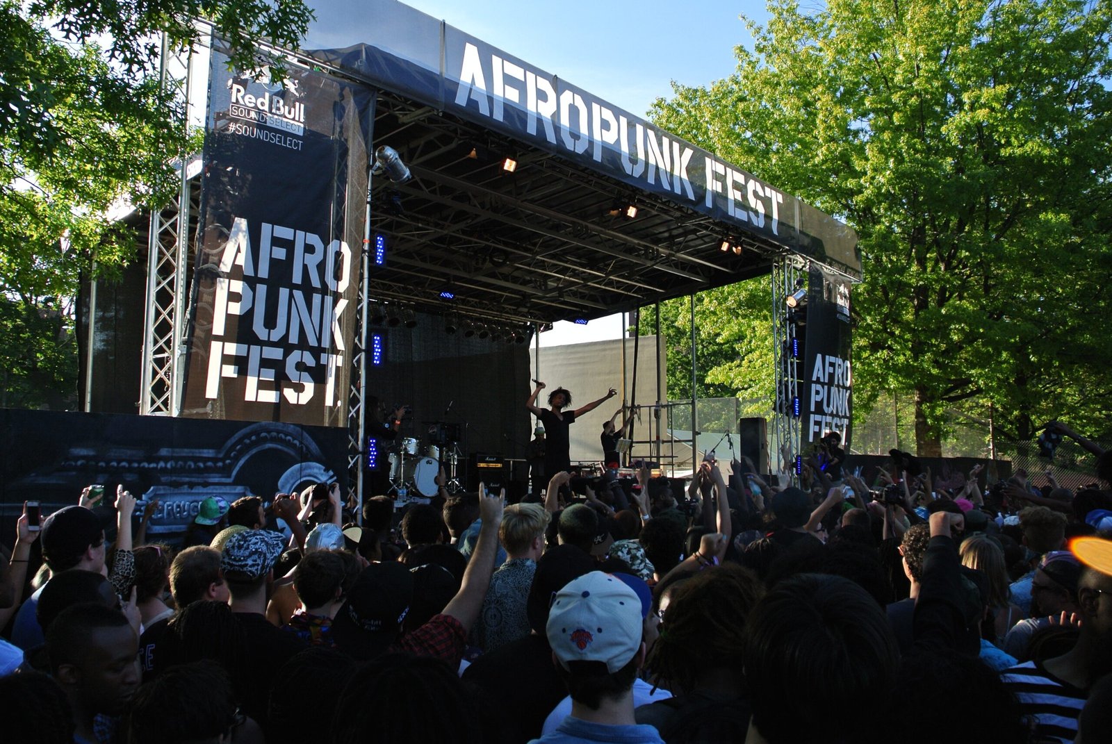 Afropunk – Rebellion Meets Celebration (image credits: wikimedia)