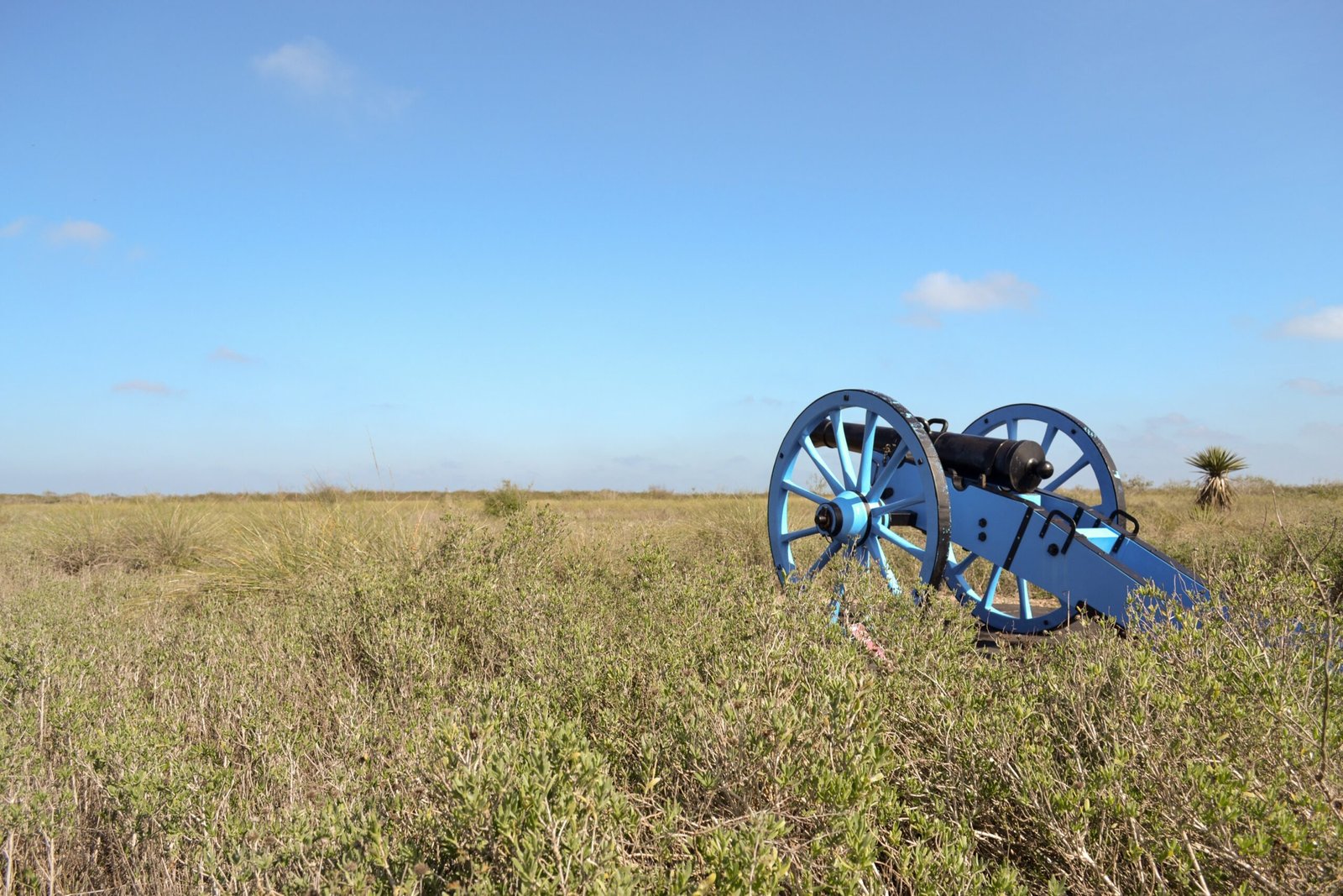 Palo Alto Battlefield (Texas) (image credits: wikimedia)