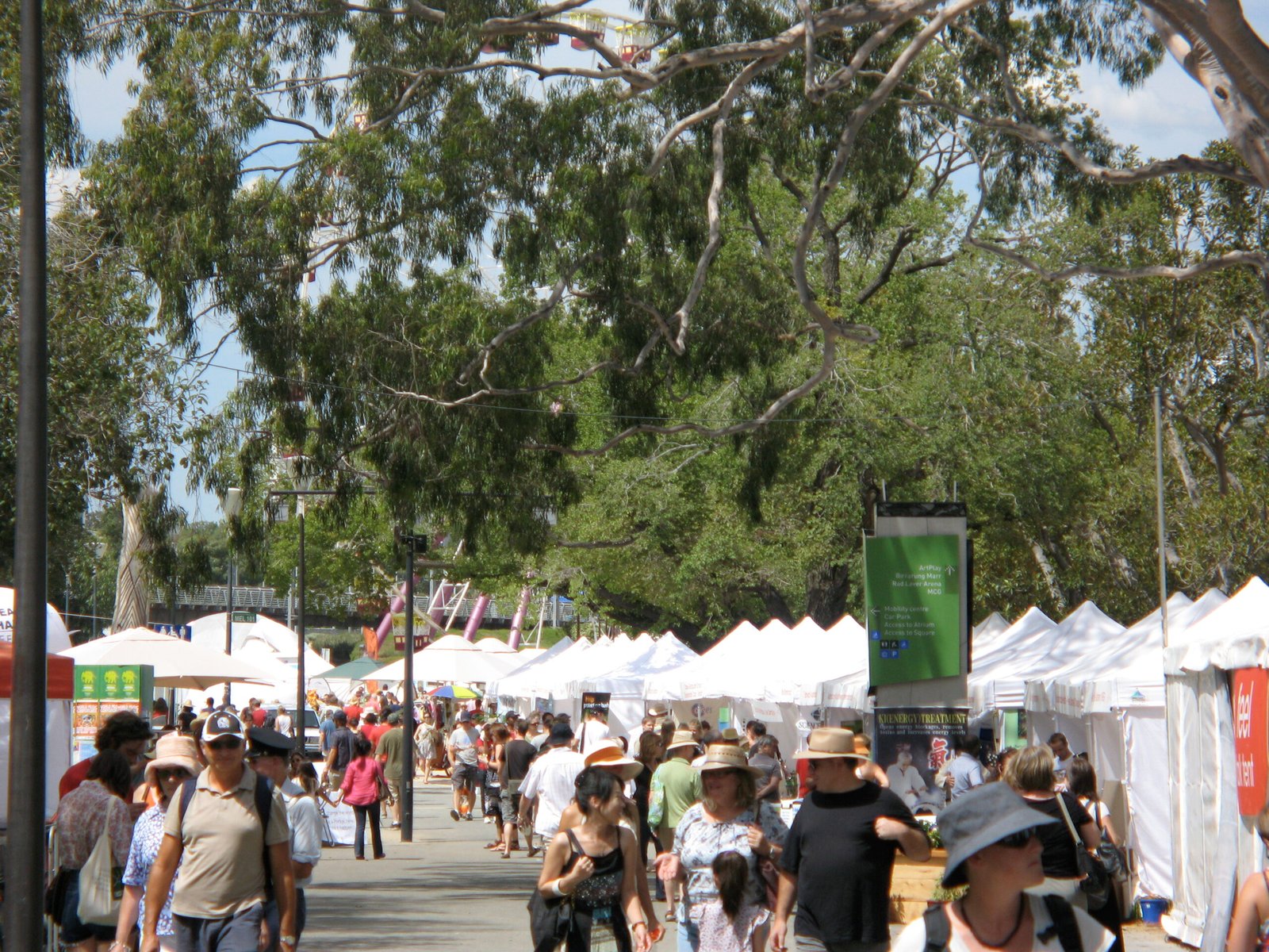 Sustainability Efforts Behind the Green Scene (image credits: wikimedia)