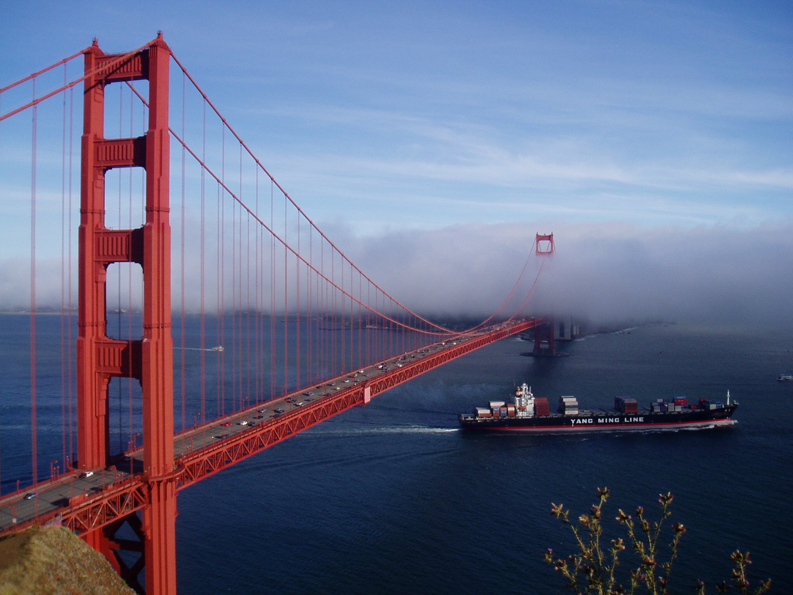 Golden Gate Bridge: Fog, Failure, and Fearlessness (image credits: wikimedia)
