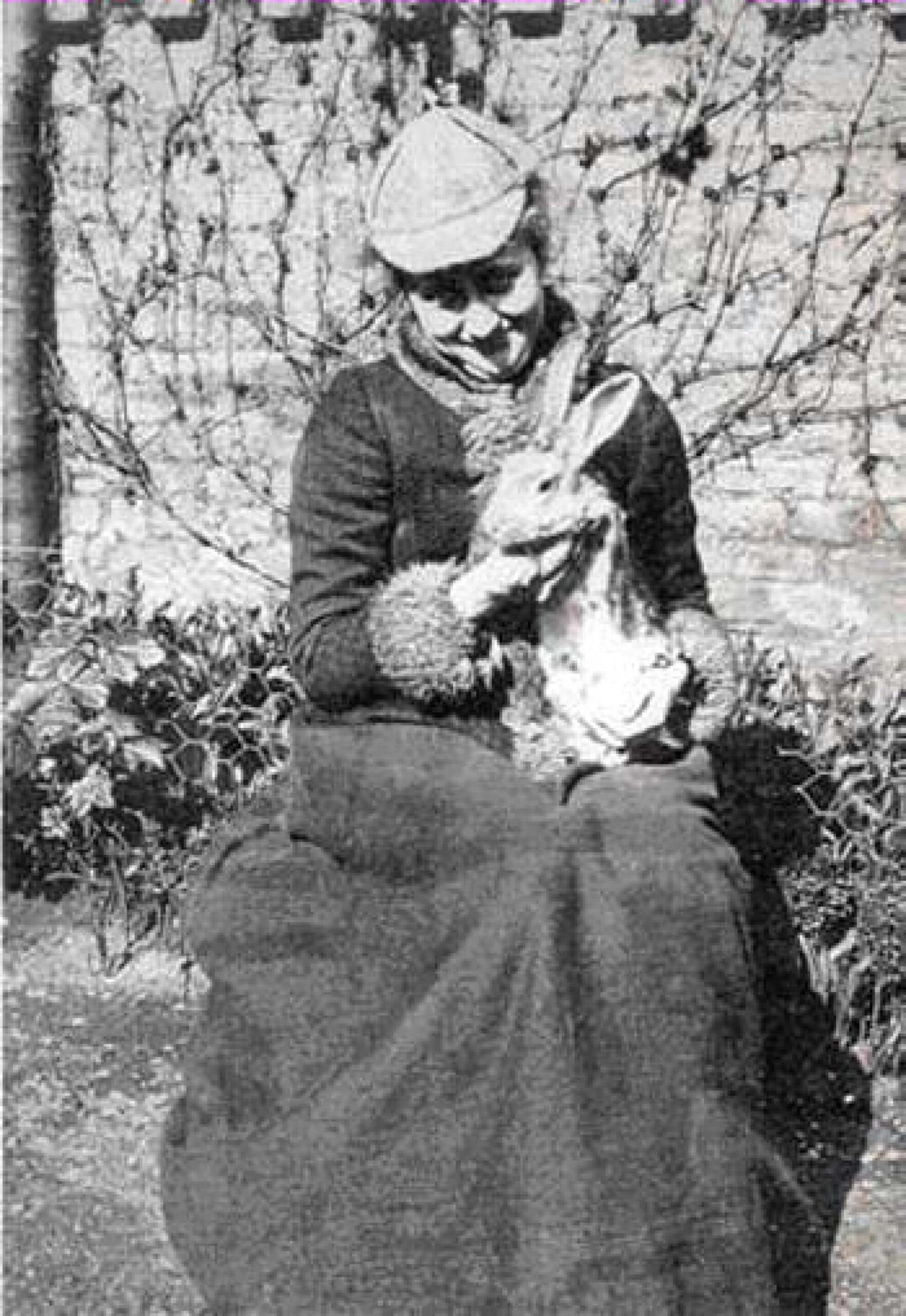 The Tale of Peter Rabbit by Beatrix Potter (1901) (image credits: wikimedia)