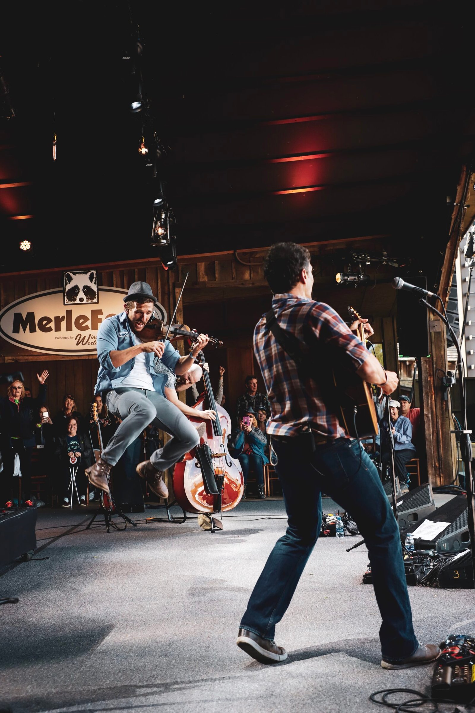 MerleFest: A Bluegrass Family Affair (image credits: wikimedia)