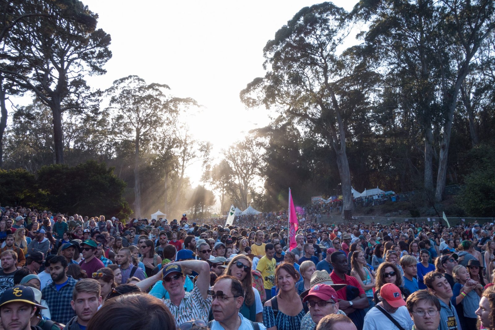 Hardly Strictly Bluegrass: San Francisco’s Gift to the People (image credits: wikimedia)