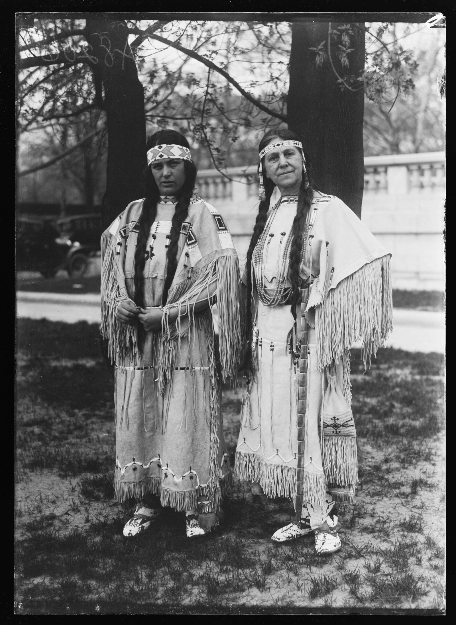 Heart Berries (image credits: wikimedia)