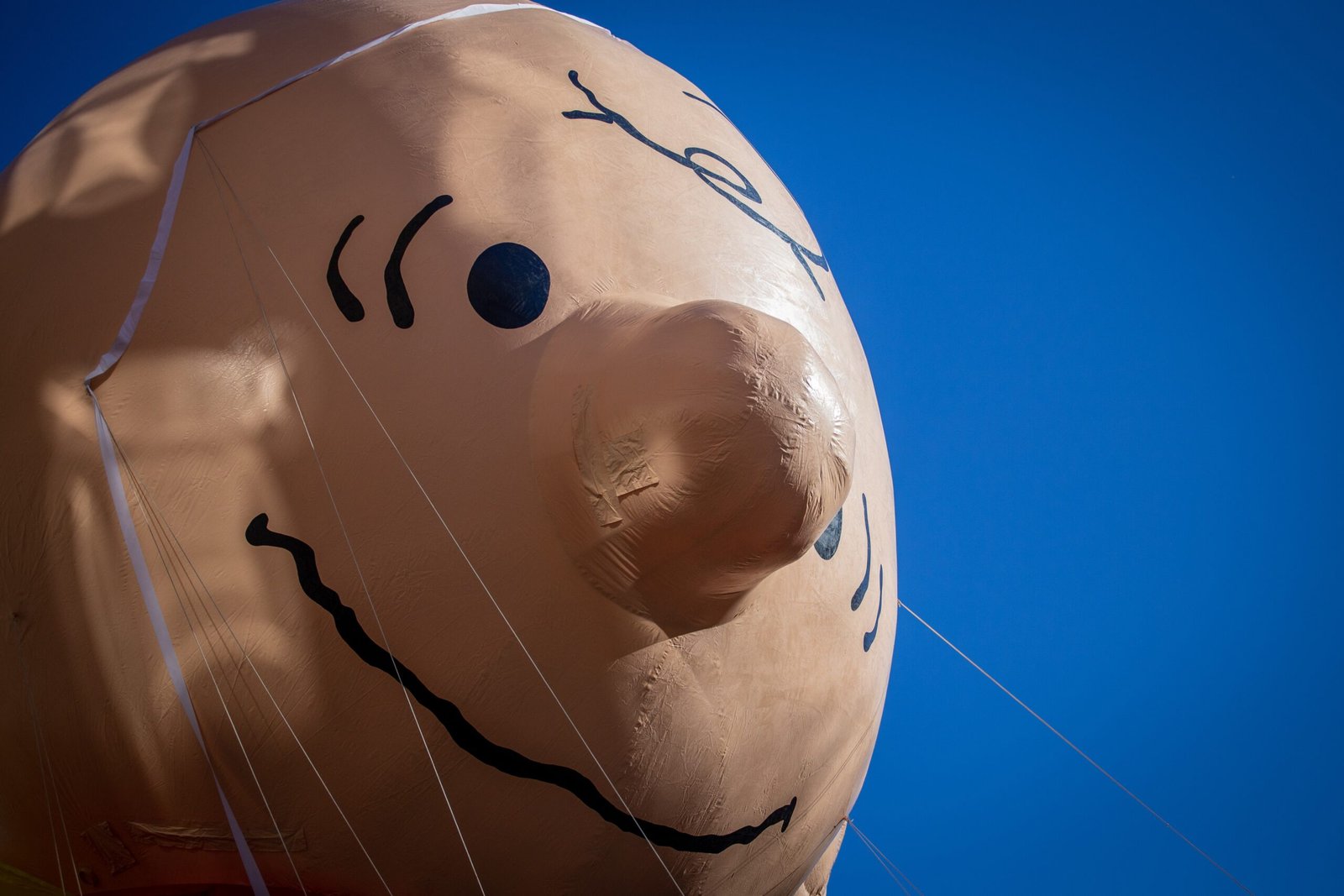 The Lovable Loser Who Won Our Hearts (image credits: wikimedia)