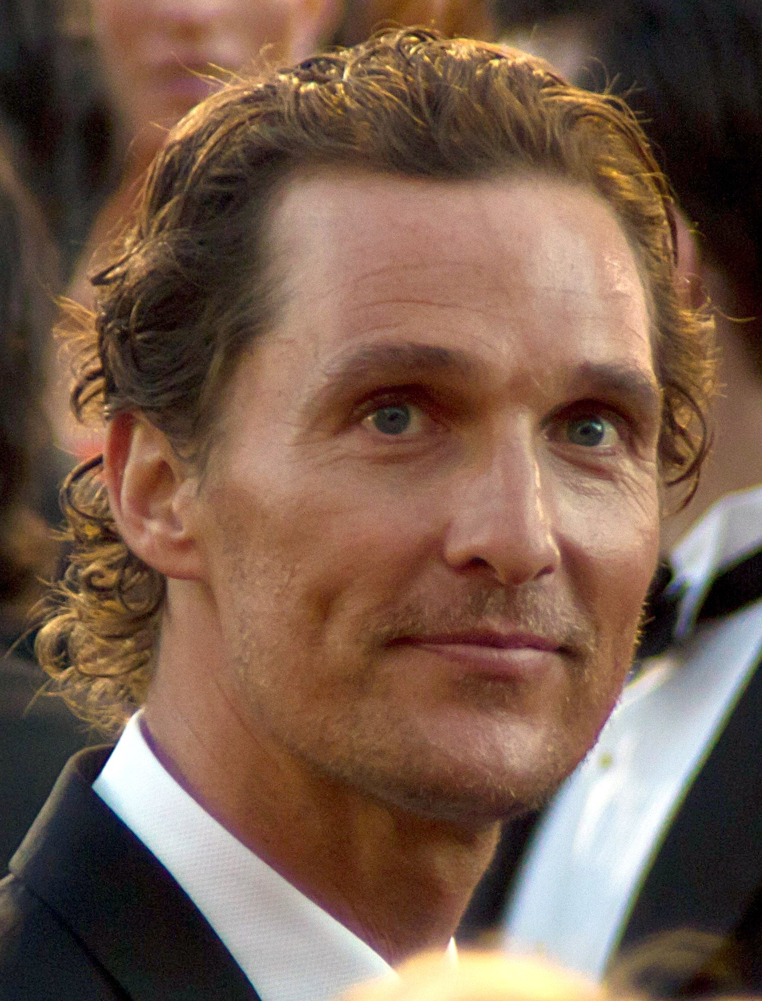 Matthew McConaughey: The Philosopher Croons (image credits: wikimedia)