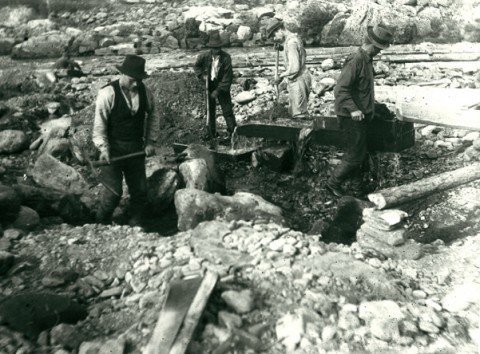 The Gold Rush: Boom, Bust, and Broken Dreams (image credits: wikimedia)