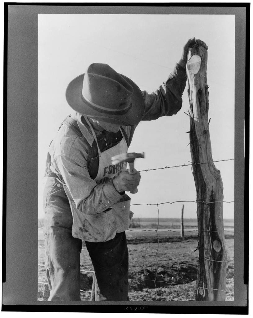 The American Cowboy: More Fence Than Freedom (image credits: rawpixel)