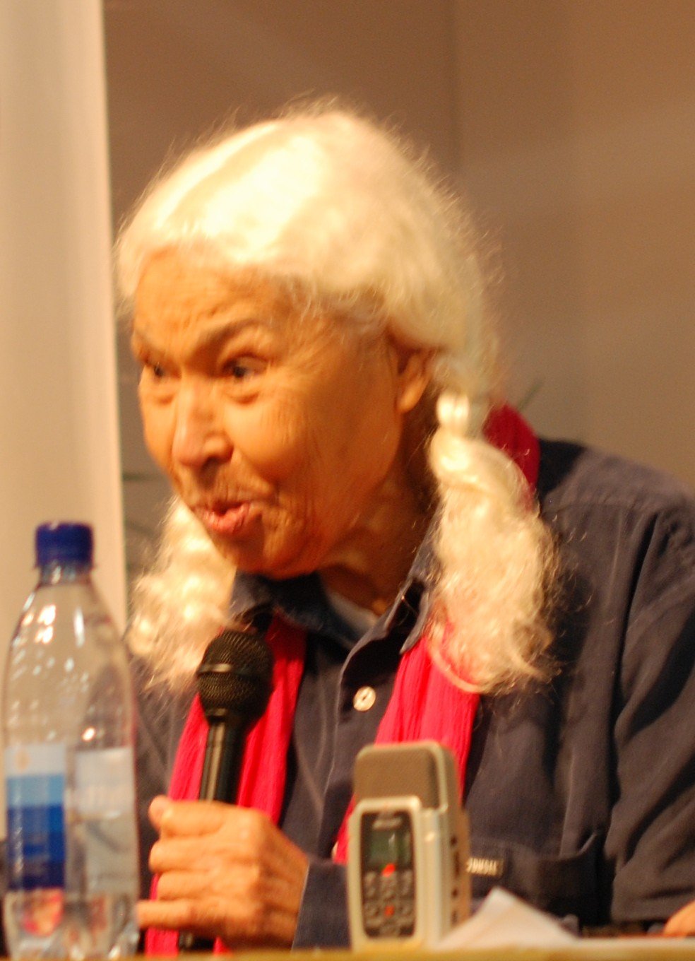 Nawal El Saadawi – Egypt's Feminist Revolutionary (image credits: wikimedia)