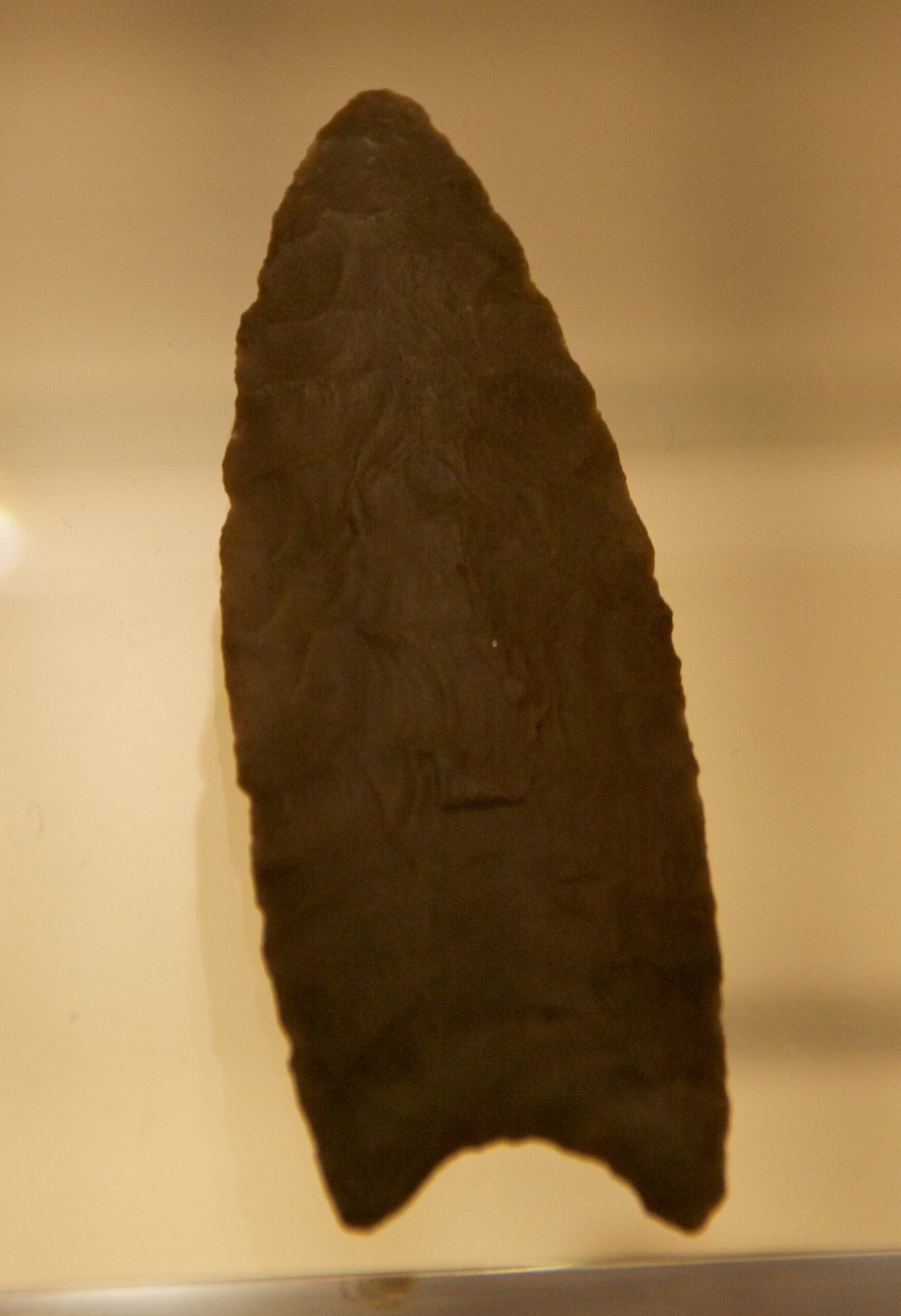 The Clovis People (image credits: wikimedia)