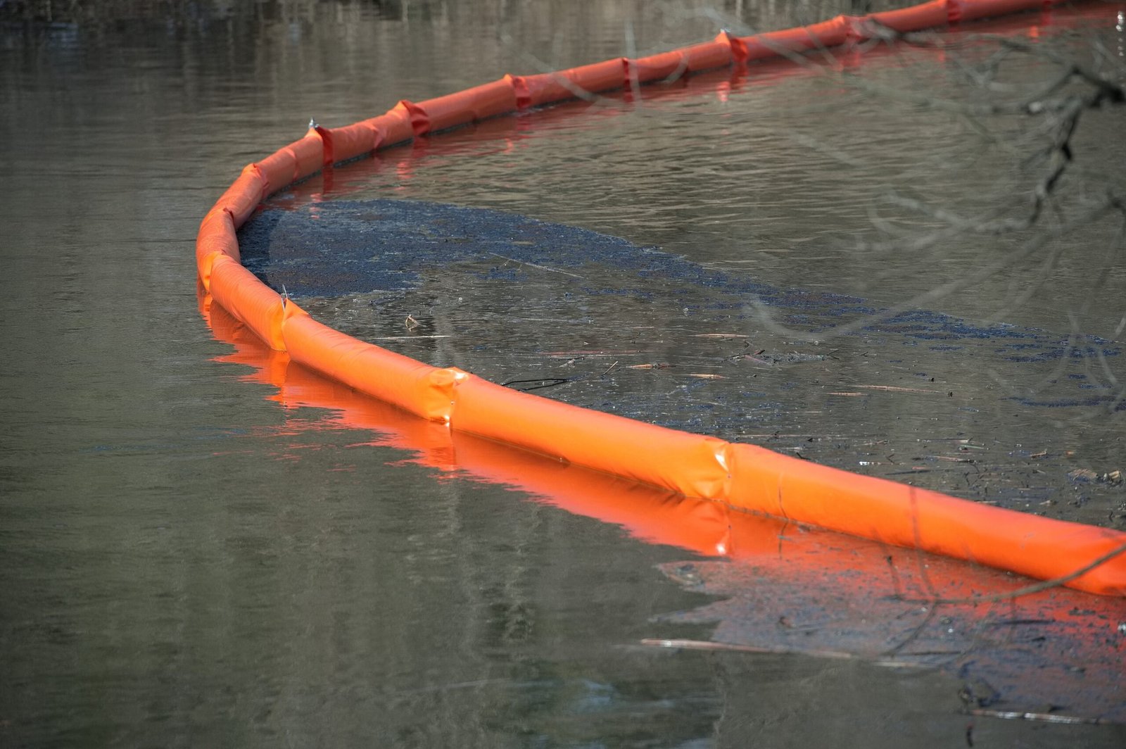 The Oil Boom and Economic Transformation (image credits: wikimedia)