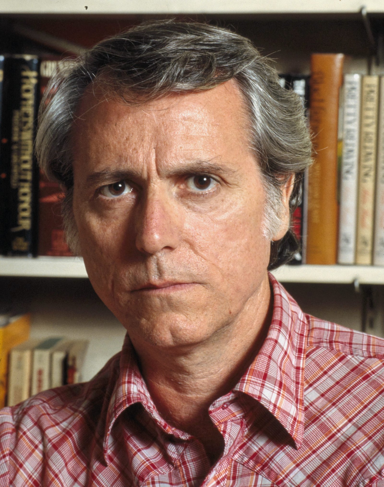 Don DeLillo's White Noise Predicted Our Media-Saturated Future (image credits: wikimedia)