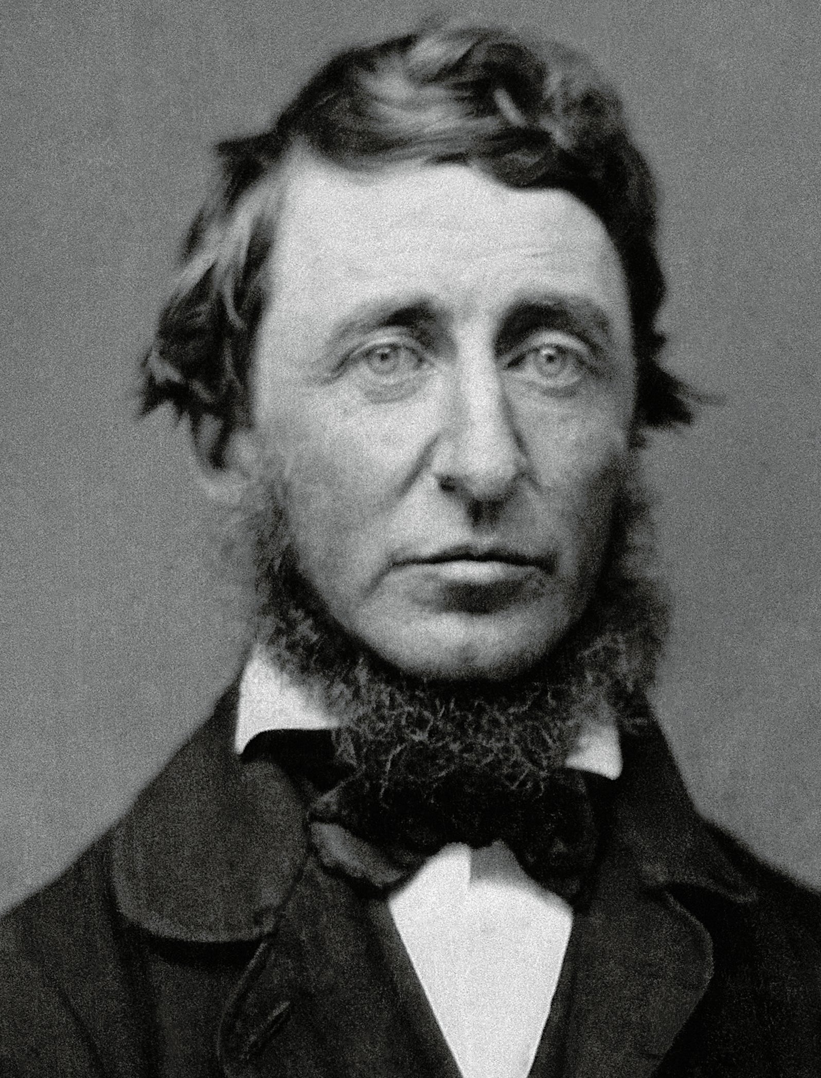 Thoreau's Civil Disobedience: The Power of Moral Resistance (image credits: wikimedia)