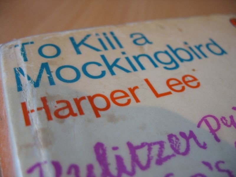 Harper Lee’s To Kill a Mockingbird and Justice Diplomacy (image credits: flickr)