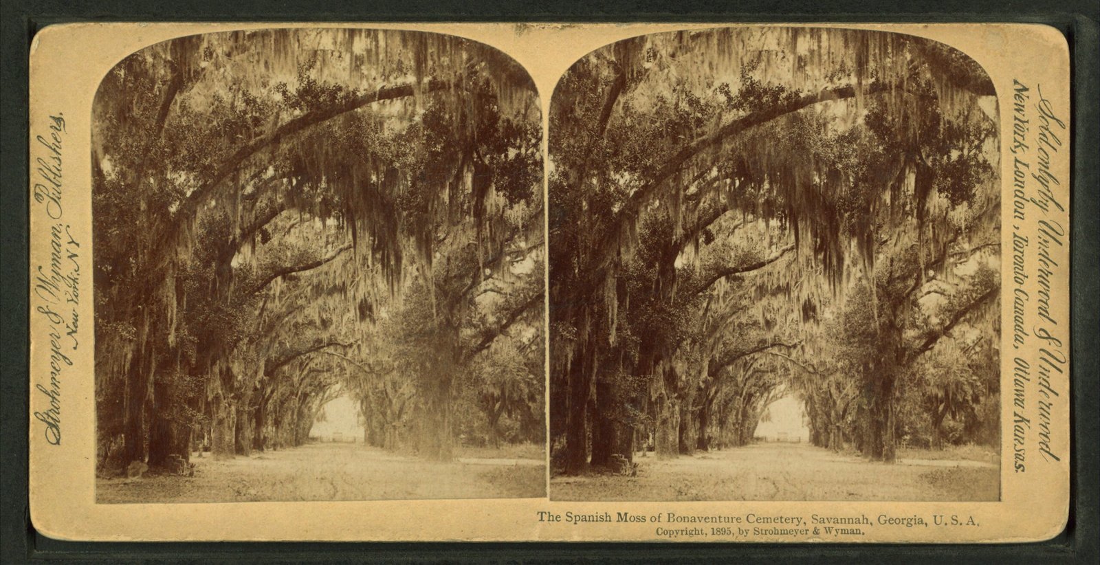 Savannah, Georgia: John Berendt's Gothic Paradise (image credits: wikimedia)