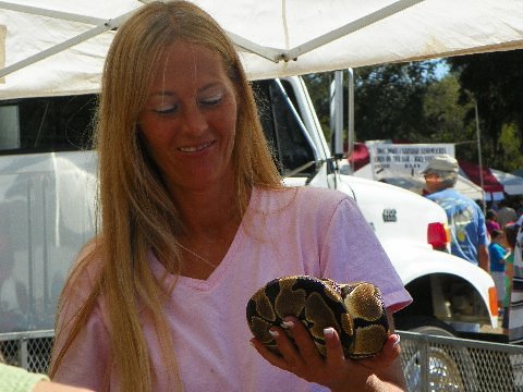 Rattlesnake Roundup: Sweetwater's Controversial Cash Cow (image credits: flickr)