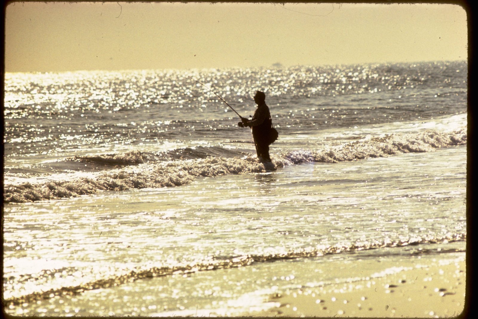 Environmental Racism: Urban Parks and Redlining (image credits: By National Park Service Digital Image Archives, Public domain, https://commons.wikimedia.org/w/index.php?curid=24159458)