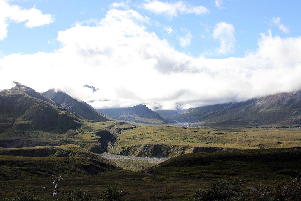 Denali: “Wilderness” and Homesteader Removal (image credits: flickr)