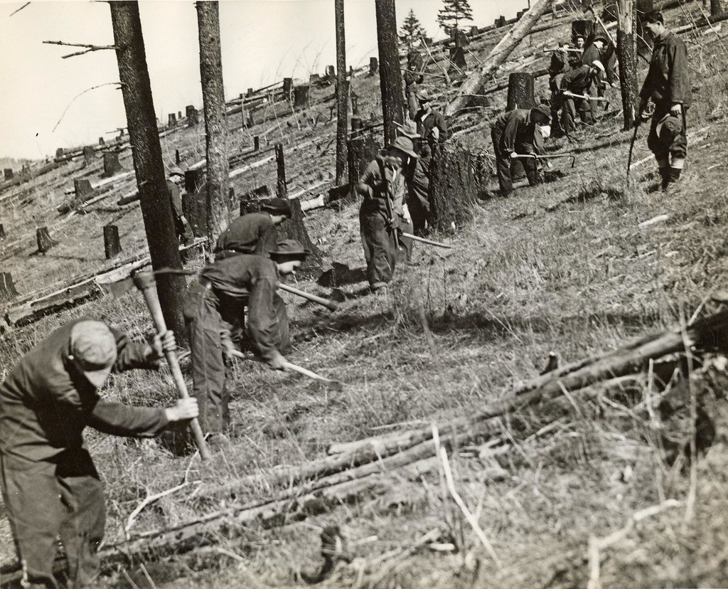 The Role of the Civilian Conservation Corps (CCC) (image credits: flickr)