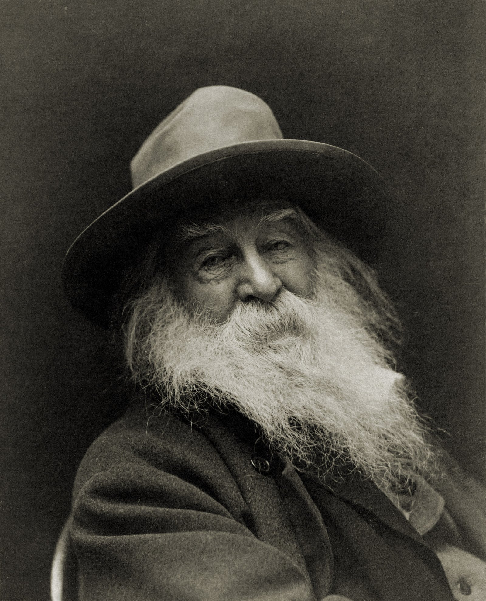 Walt Whitman: The Revolutionary Voice of Democratic Poetry (image credits: wikimedia)