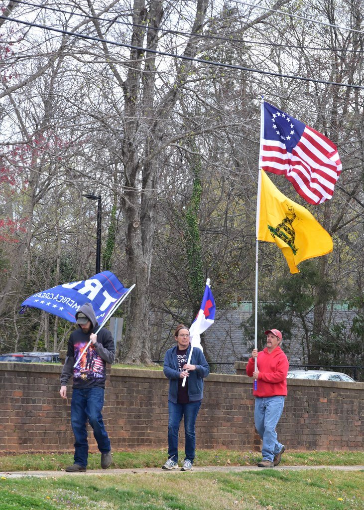 The Gadsden Flag: Pro-Slavery Politician's Creation (image credits: flickr)