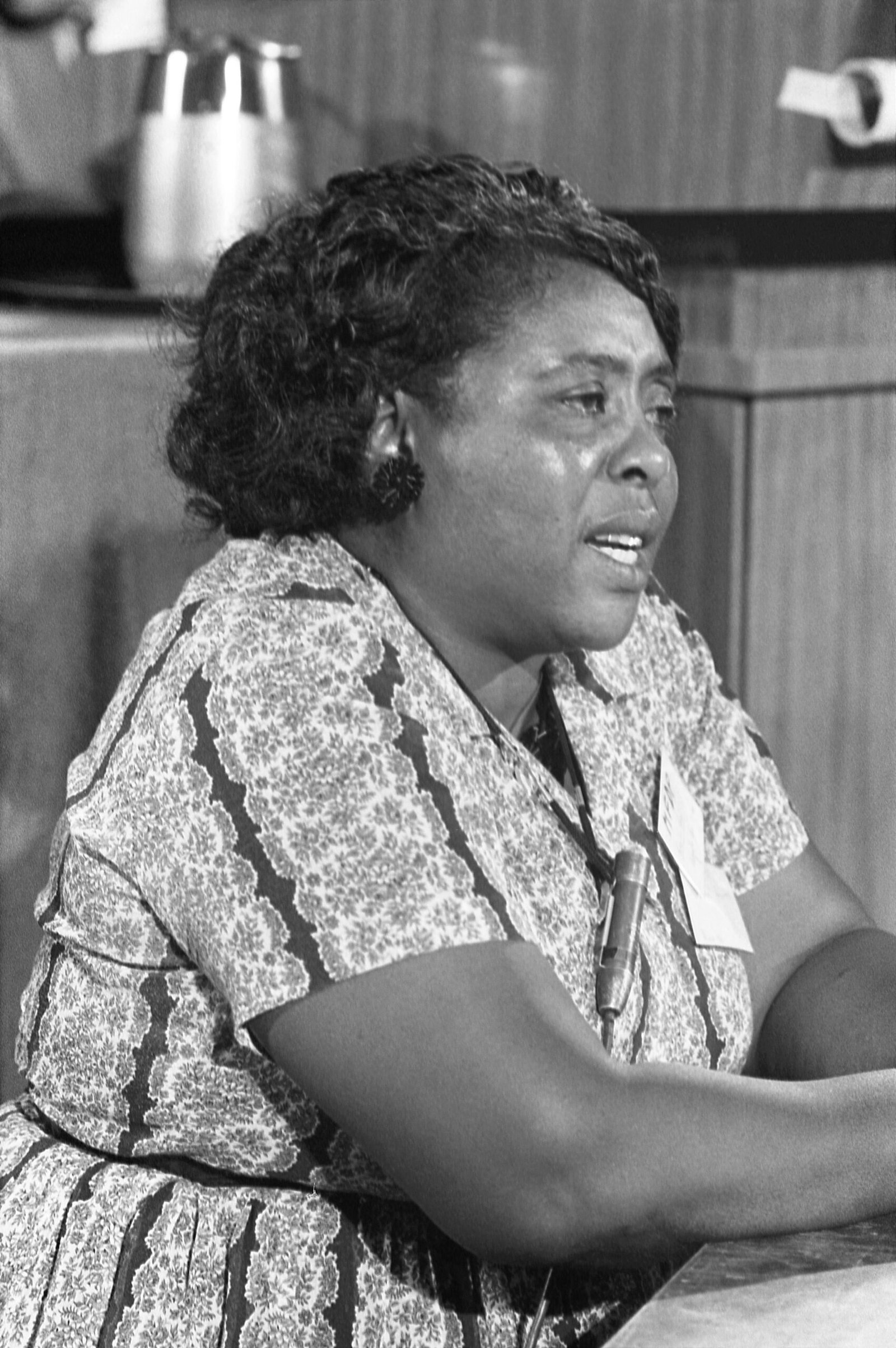 Fannie Lou Hamer: The Voice of Voting Rights (image credits: This image is available from the United States Library of Congress's Prints and Photographs division under the digital ID ds.07134.This tag does not indicate the copyright status of the attached work. A normal copyright tag is still required. See Commons:Licensing., Public domain, https://commons.wikimedia.org/w/index.php?curid=1220373)