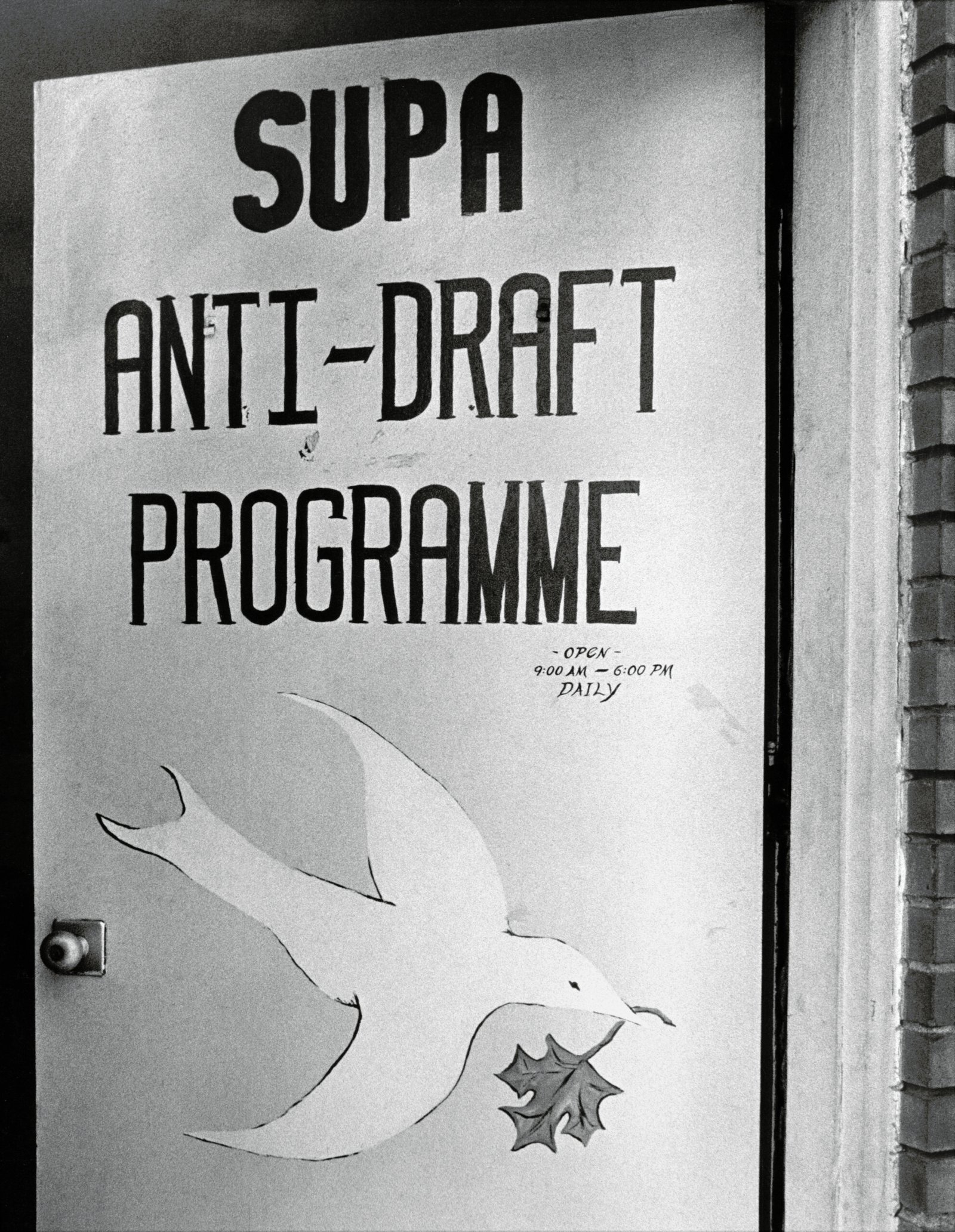 The Draft and Its Consequences (image credits: wikimedia)