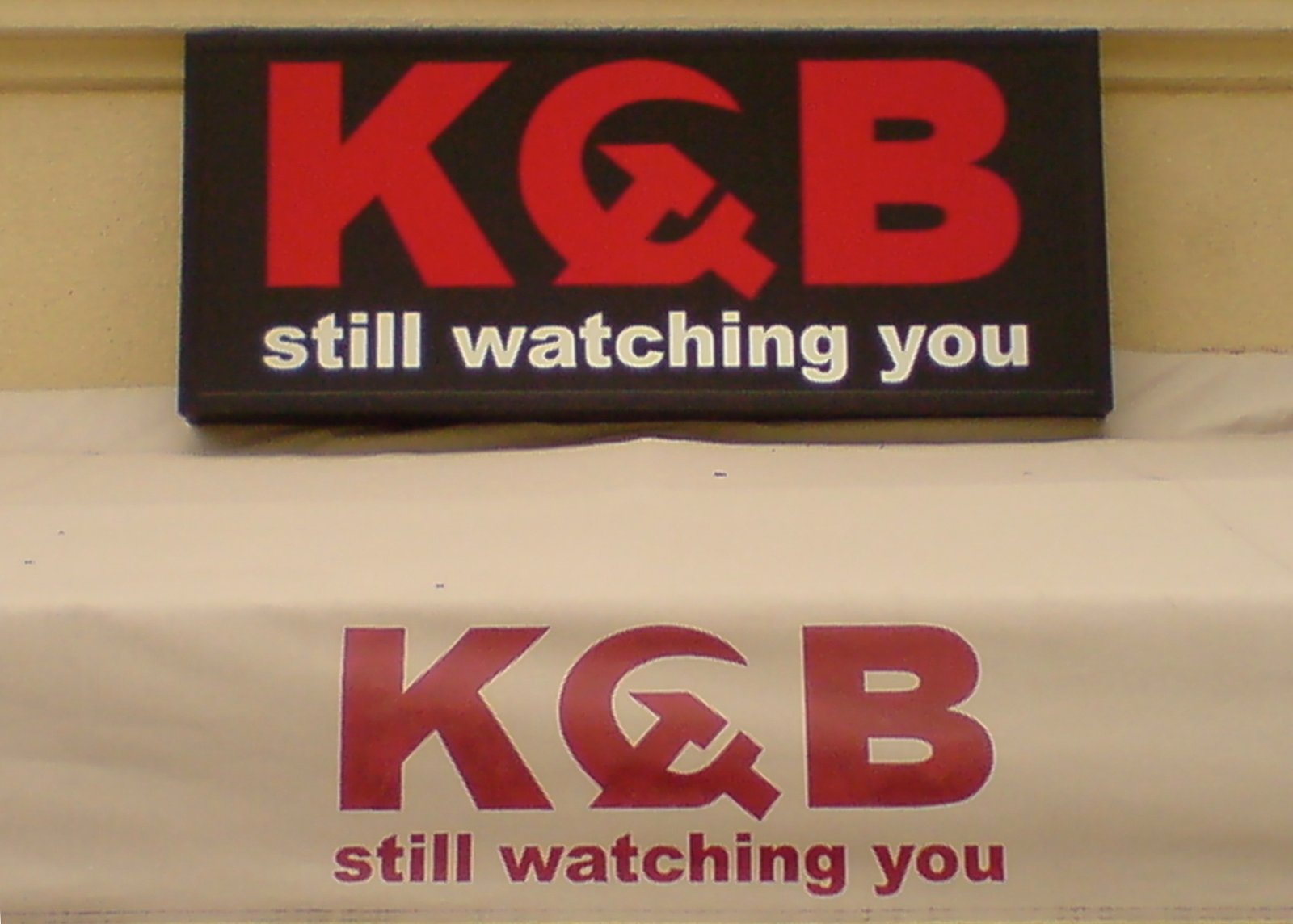Disinformation and Election Interference (image credits: Still watching you, CC BY 2.0, https://commons.wikimedia.org/w/index.php?curid=3298722)