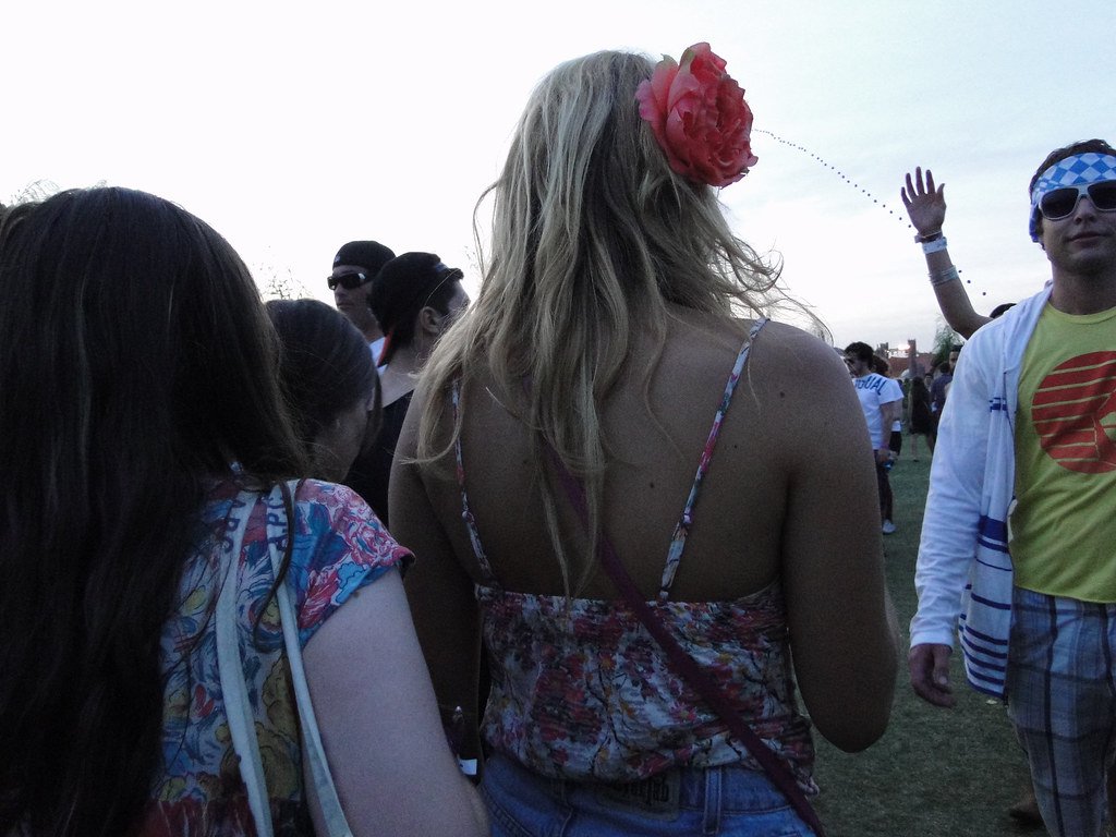 2. Coachella Valley Music and Arts Festival, California (image credits: flickr)