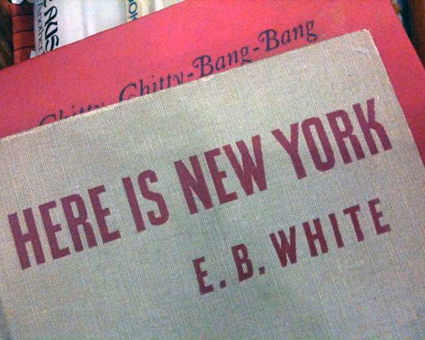 9. E.B. White – New York City (image credits: flickr)