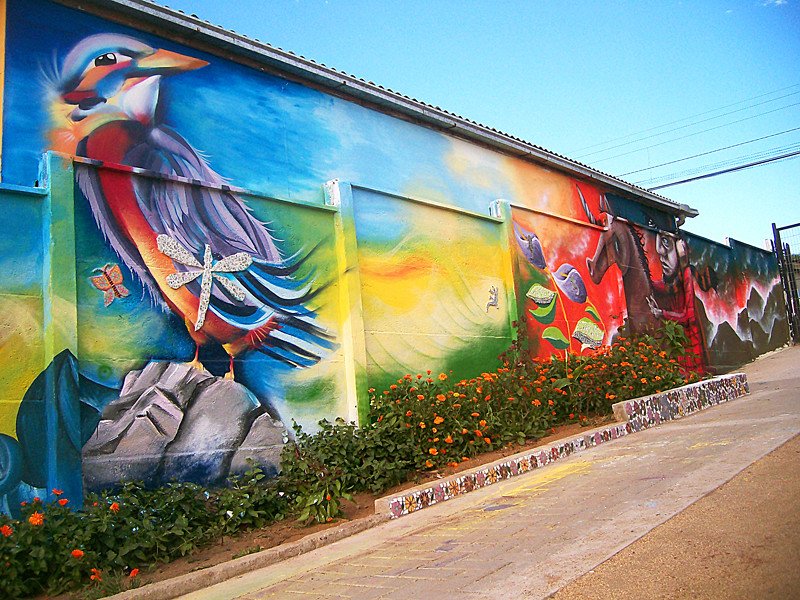 Environmental Impact of Graffiti (image credits: flickr)