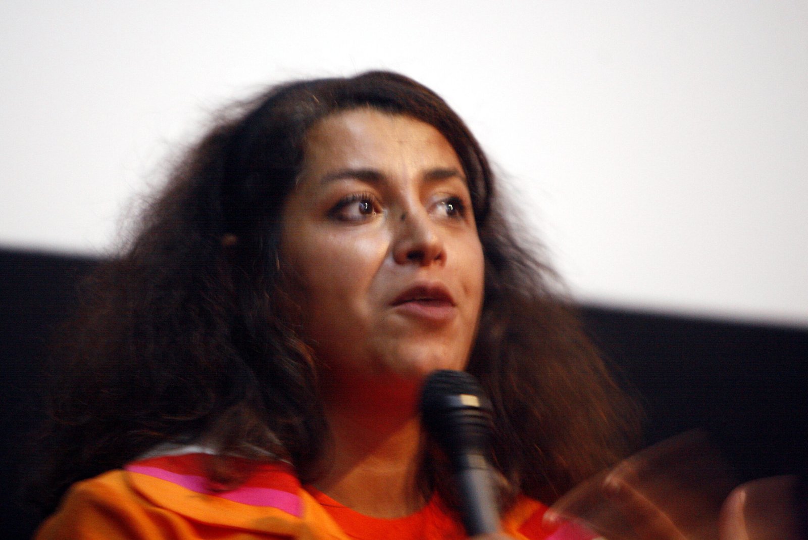 Persepolis and the Graphic Novel Revolution (image credits: By Rama, CC BY-SA 2.0 fr, https://commons.wikimedia.org/w/index.php?curid=2573754)