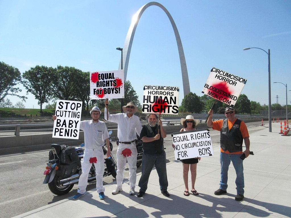 The Gateway Arch – Segregation's Shadow (image credits: flickr)