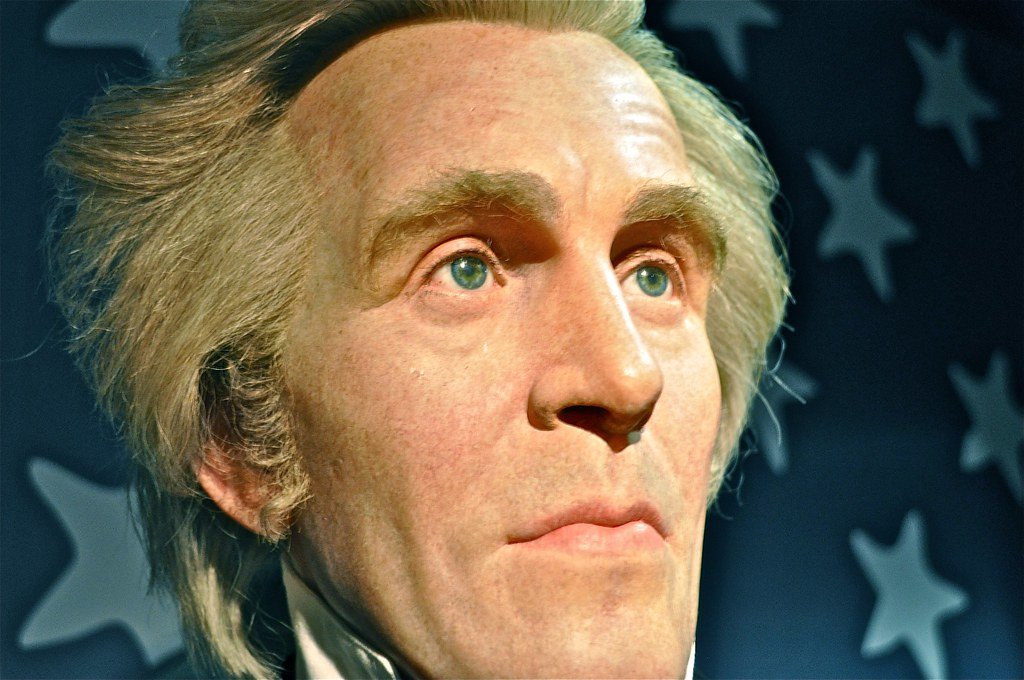 The Jackson Portrait That Redefined Presidential Power (image credits: flickr)