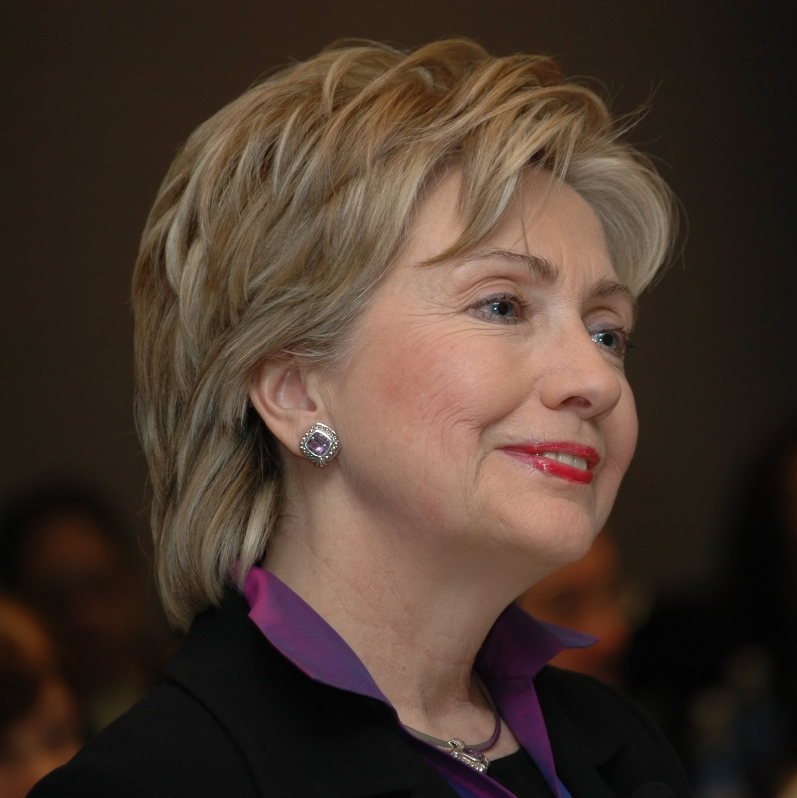 Hillary Clinton's Preparation Campaign (image credits: wikimedia)