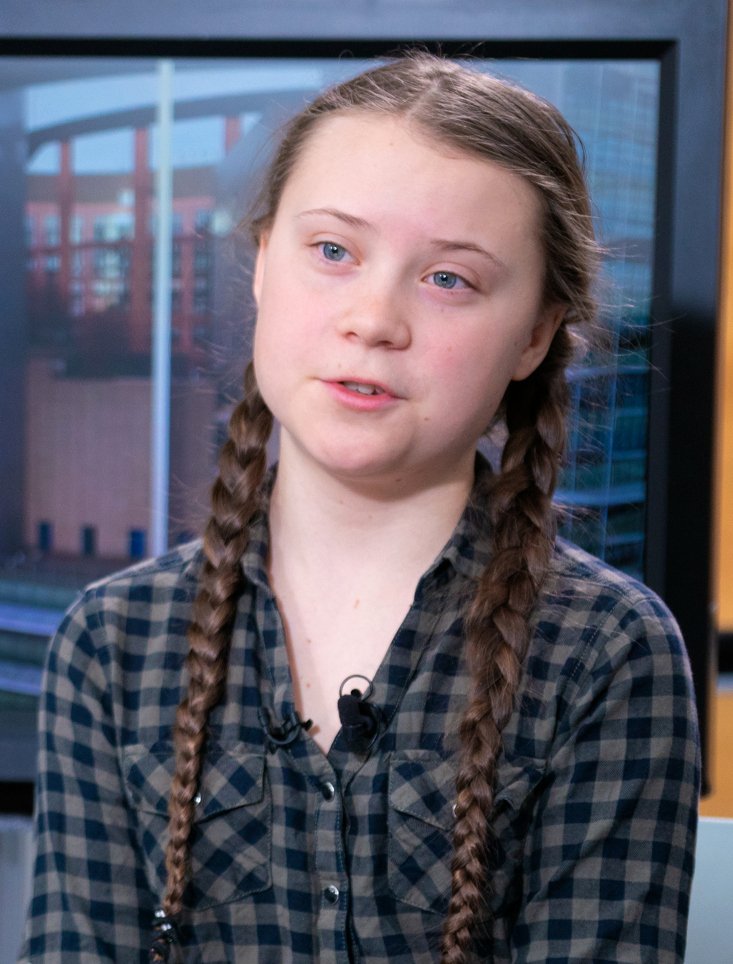 The 1975 Featuring Greta Thunberg: Youth Climate Activism (image credits: Cropped version of File:Greta Thunberg at the Parliament (33744056438).jpg (original), CC BY 2.0, https://commons.wikimedia.org/w/index.php?curid=82537669)
