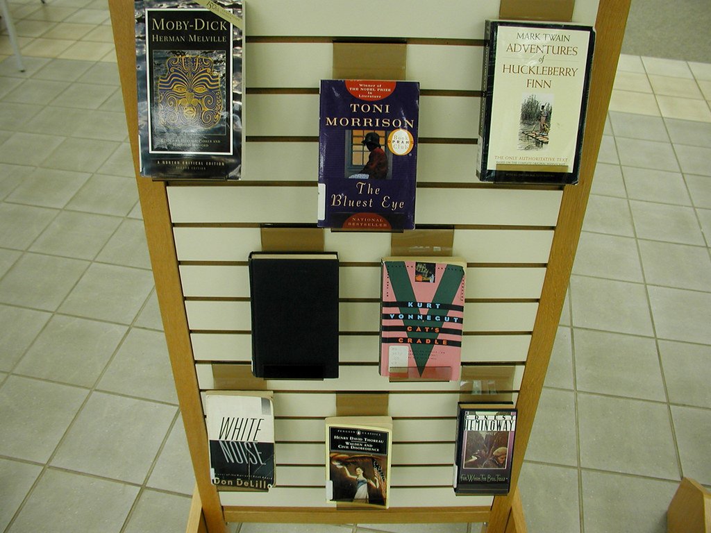 The Evolving Definition of the Literary Canon (image credits: flickr)