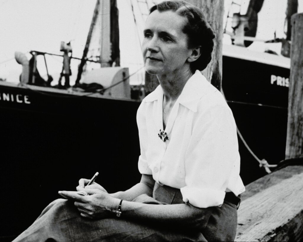3. Silent Spring (1962) by Rachel Carson (image credits: flickr)