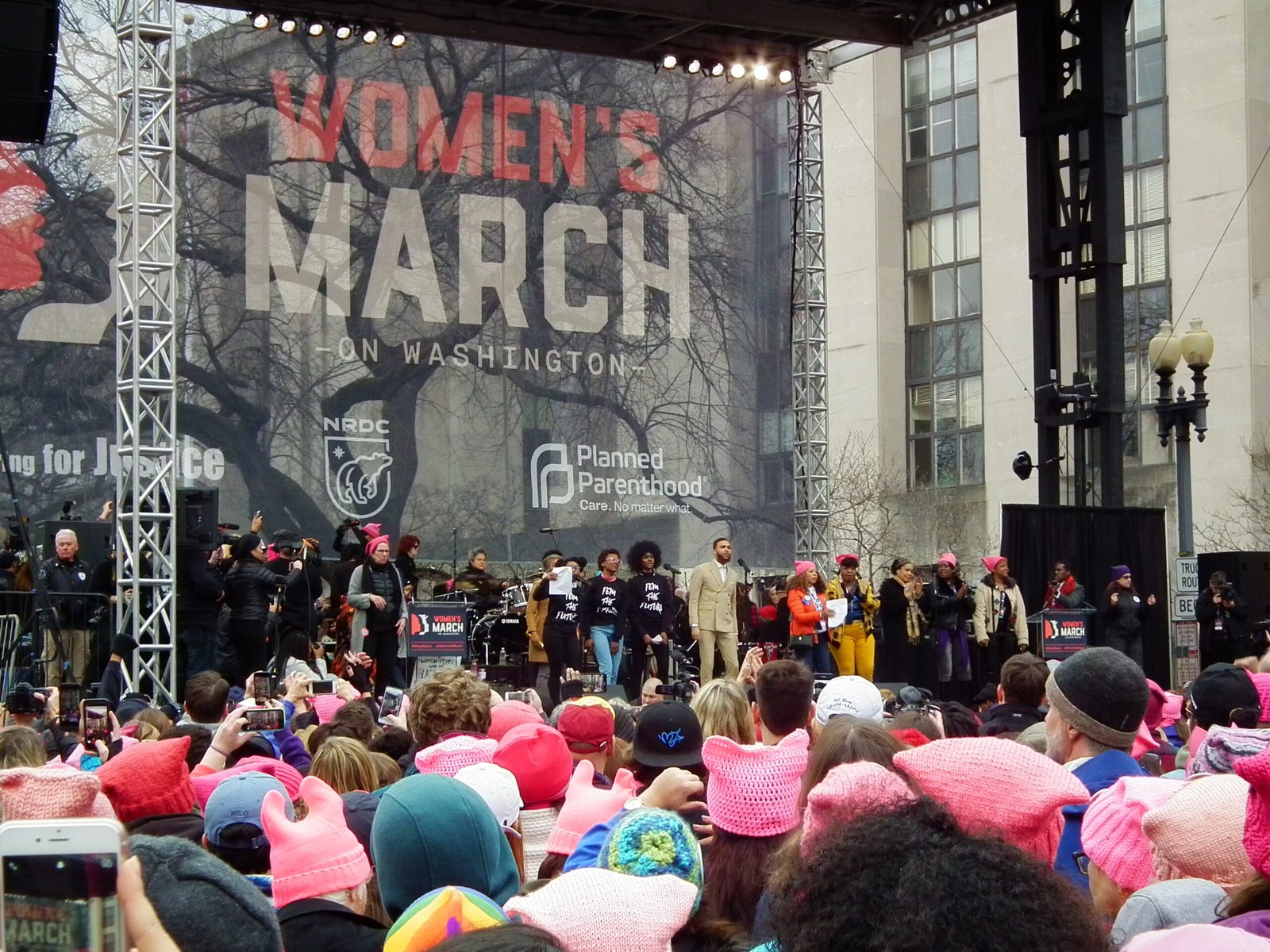 Legacy in Modern Feminism (image credits: Women's March - Washington DC 2017, CC BY 2.0, https://commons.wikimedia.org/w/index.php?curid=55563161)