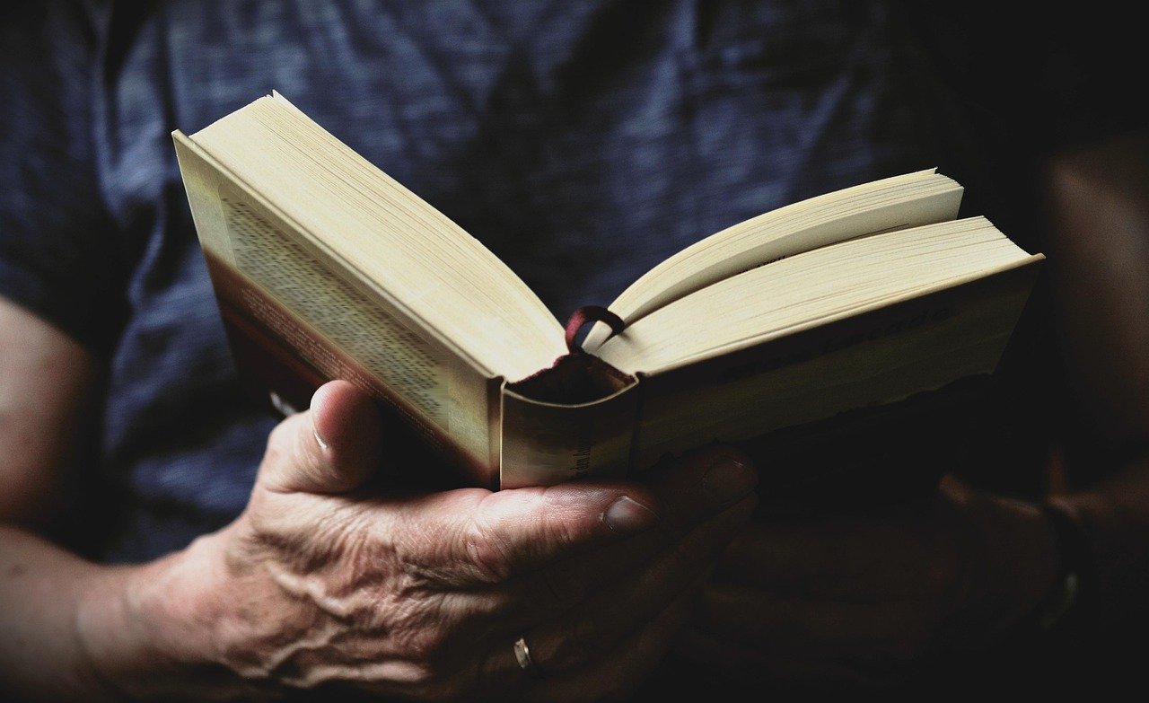 Critical and Reader Acclaim (image credits: pixabay)