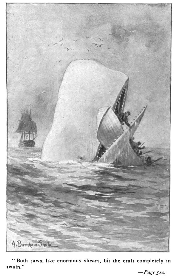 Resilience Through Time (image credits: Moby-Dick edition - C. H. Simonds Co, Public domain, https://commons.wikimedia.org/w/index.php?curid=10895971)