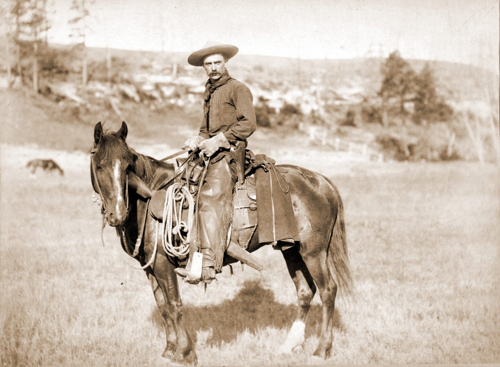 Redefining the American Frontier (image credits: This image  is available from the United States Library of Congress's Prints and Photographs division under the digital ID ppmsc.02638.This tag does not indicate the copyright status of the attached work. A normal copyright tag is still required. See Commons:Licensing., Public domain, https://commons.wikimedia.org/w/index.php?curid=165124)