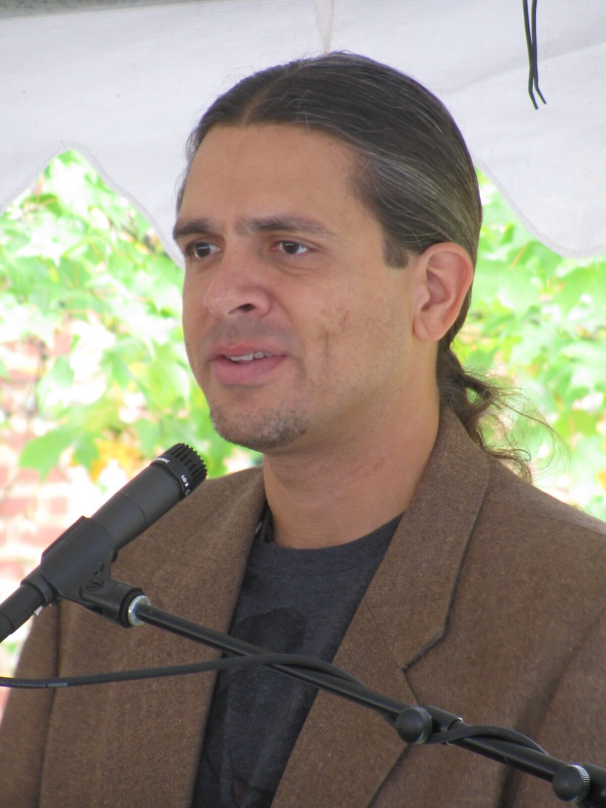 Violence, Trauma, and Healing (image credits: By slowking, GFDL 1.2, https://commons.wikimedia.org/w/index.php?curid=28515582)
