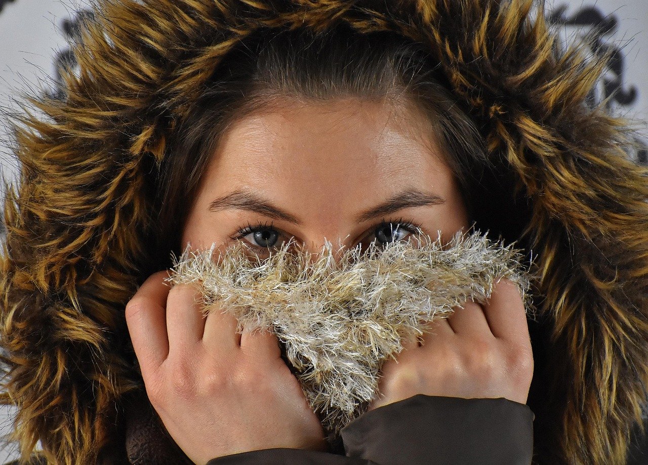 Animal Welfare and Faux Fur (image credits: pixabay)