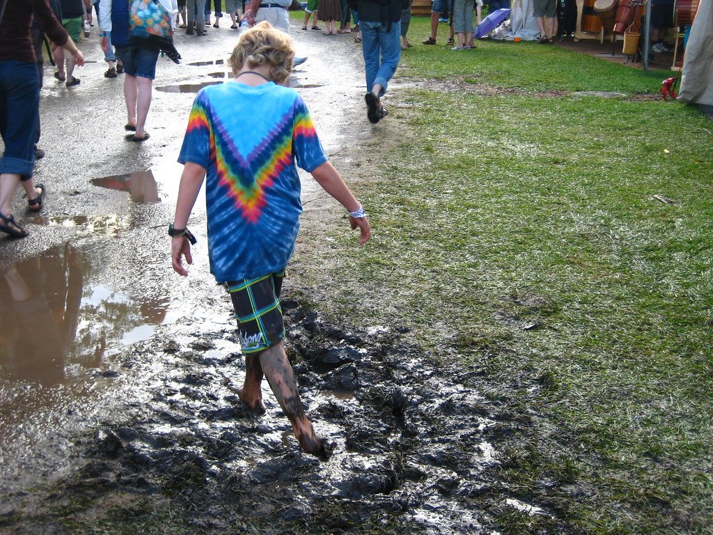 Dealing With the Mud: Strategies and Attitudes (image credits: flickr)