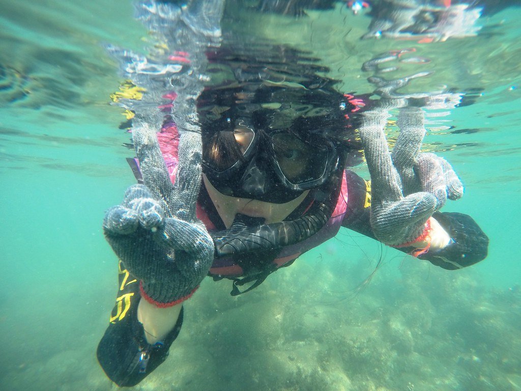 Silent Symphony Beneath the Waves (image credits: flickr)