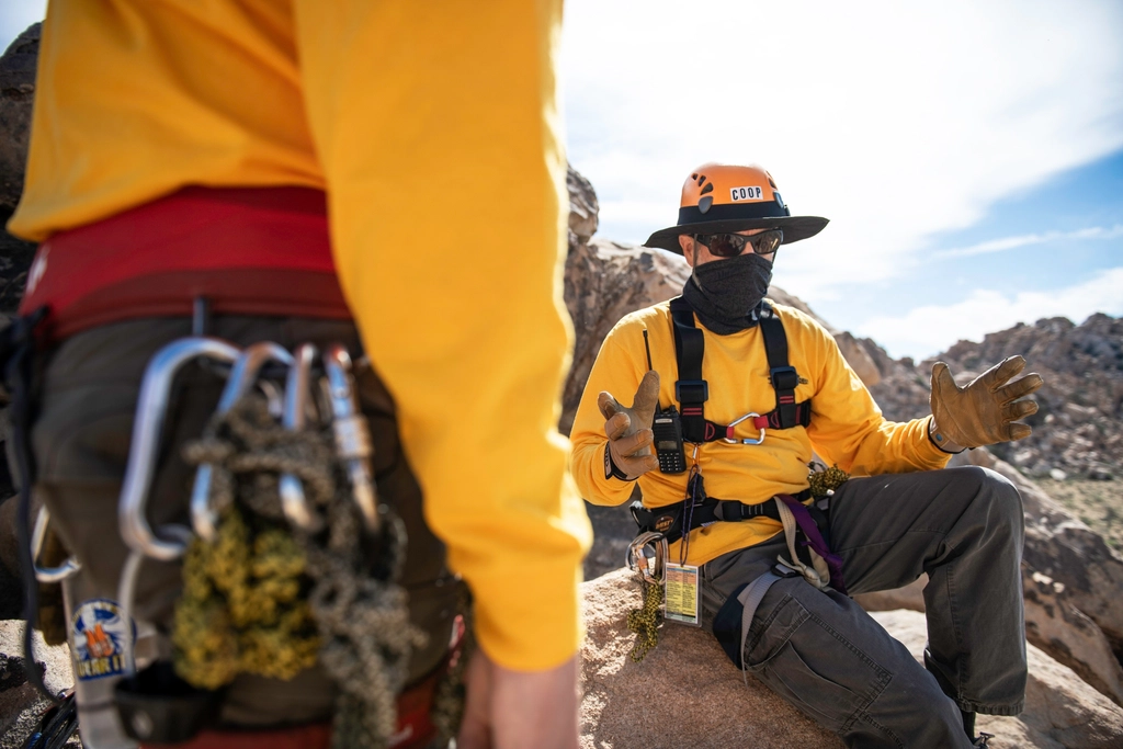 Training Programs That Rival Military Operations (image credits: rawpixel)