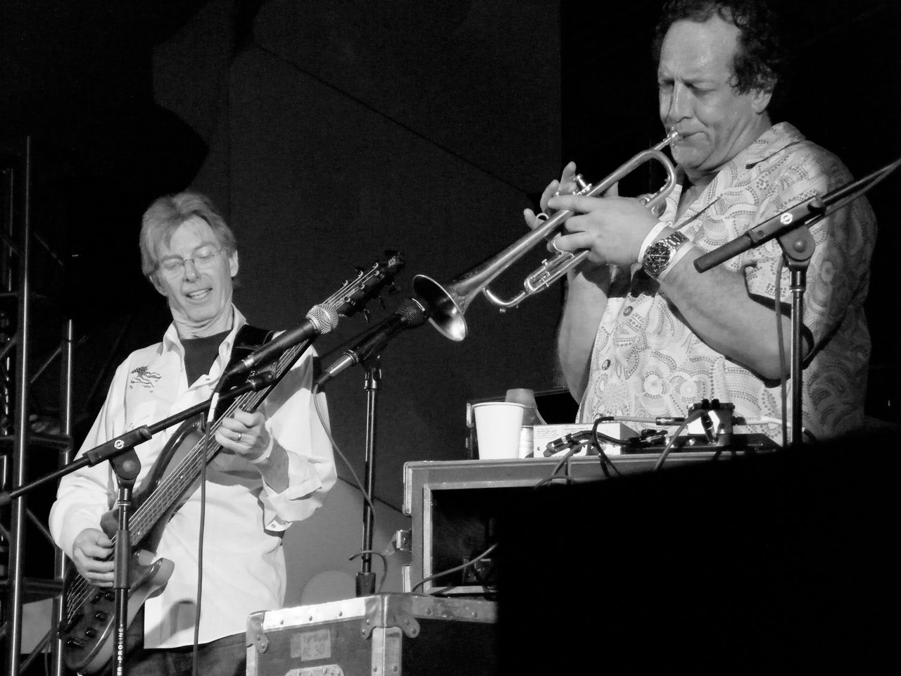 The Wild Card Factor: Embracing Spontaneity (image credits: wikimedia)